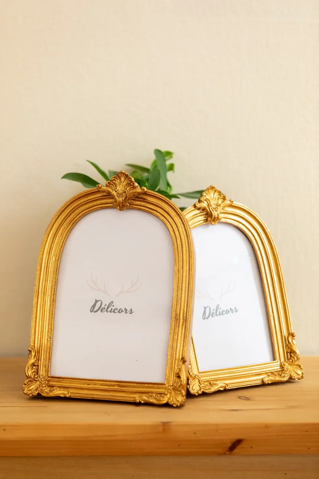 Golden Arch Ornate Frame Set