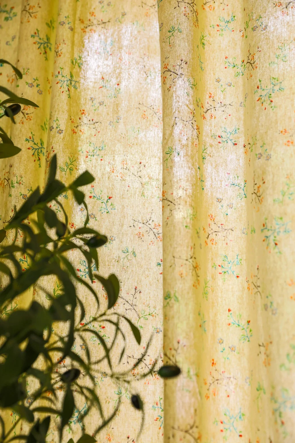 Moss Mystery Curtain