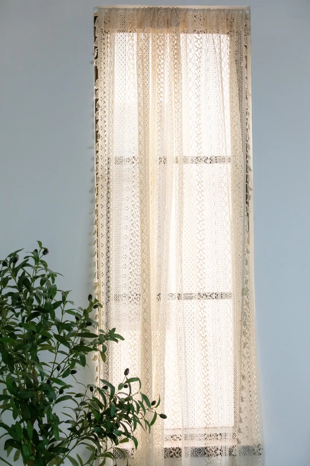 Romantic Lace Curtain