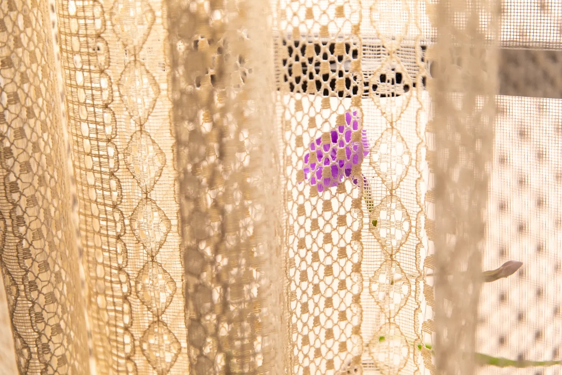 Romantic Lace Curtain