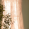Royal Story Lace Curtain
