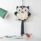 Enchanting Owl Macrame Wall Decor