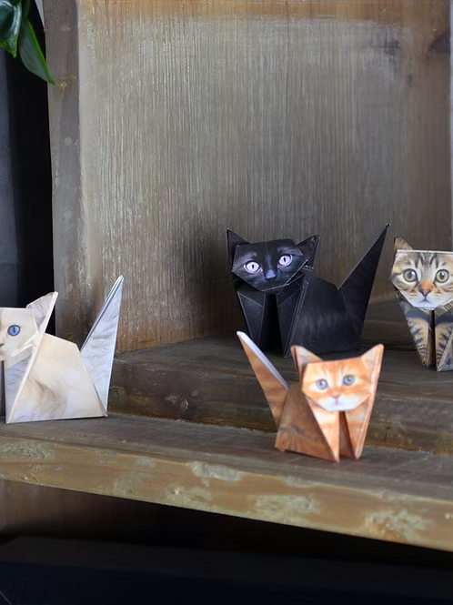 😻🐾DIY Paper Cats