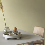 Modern Style Tray