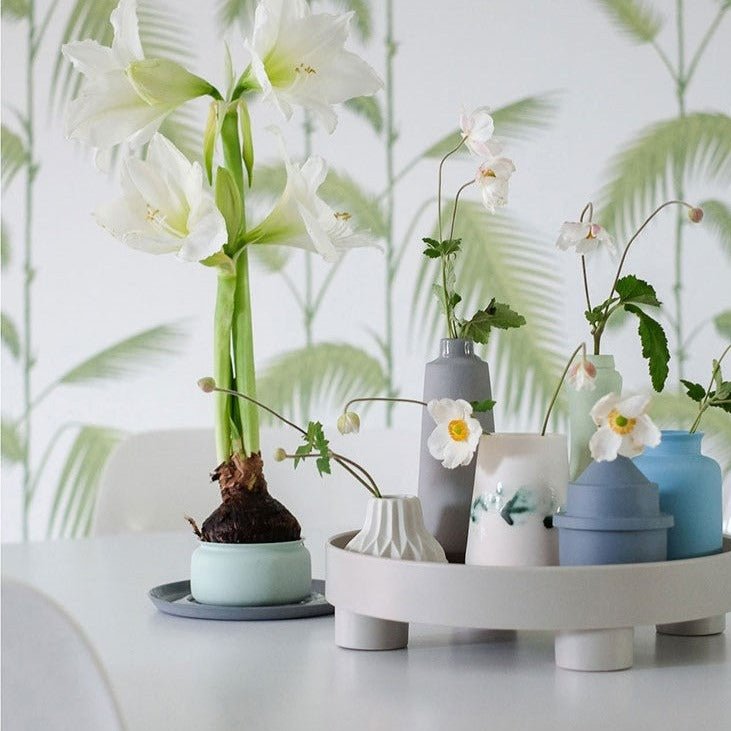Modern Style Tray