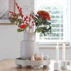 Modern Style Tray