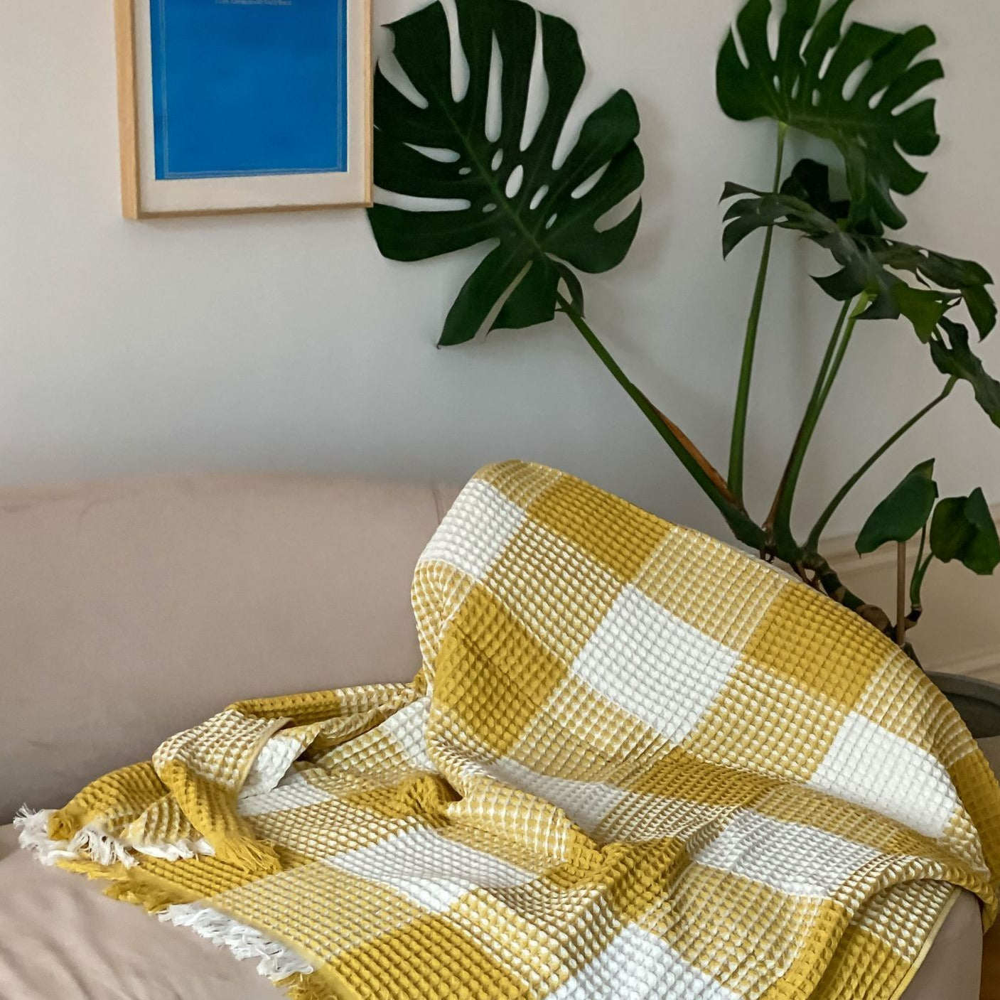 Plaid Waffle Soft Blanket