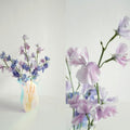 Tulip Transparent Acrylic Vase