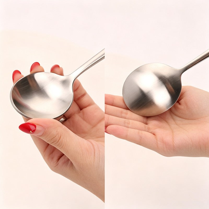 Arya Silver Stainless Steel Cutlery Set