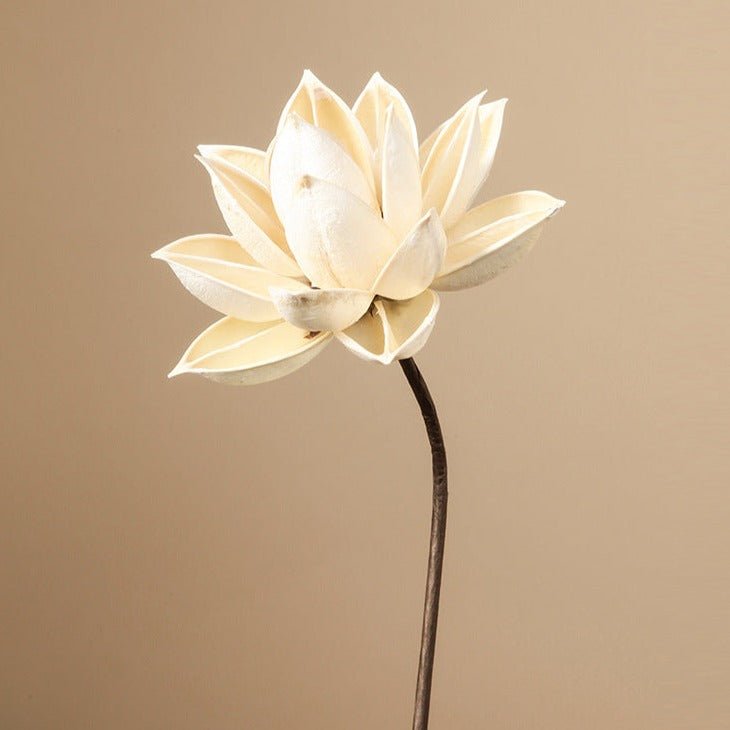 Zen Dried Flower Collection - FINAL SALE