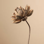 Zen Dried Flower Collection