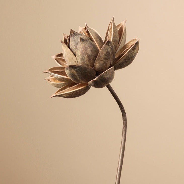 Zen Dried Flower Collection - FINAL SALE