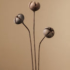 Zen Dried Flower Collection