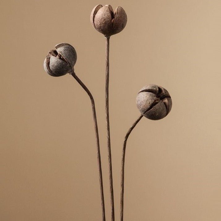 Zen Dried Flower Collection