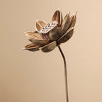 Zen Dried Flower Collection