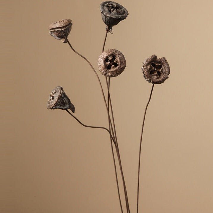 Zen Dried Flower Collection - FINAL SALE