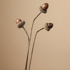 Zen Dried Flower Collection
