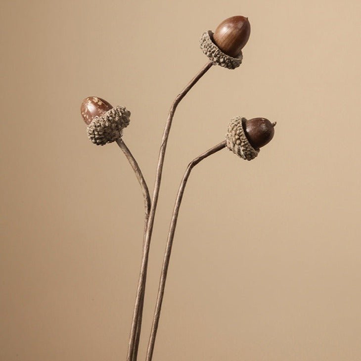 Zen Dried Flower Collection