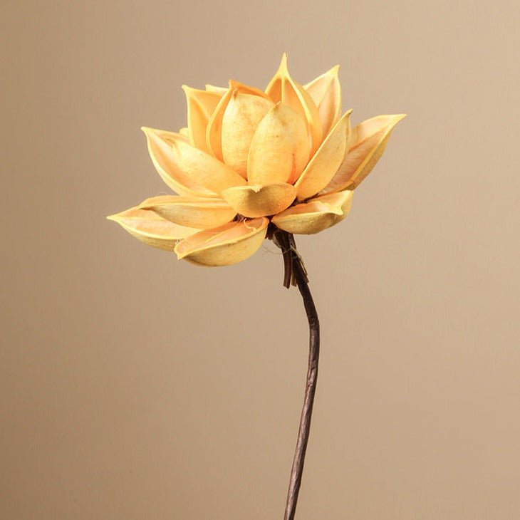 Zen Dried Flower Collection