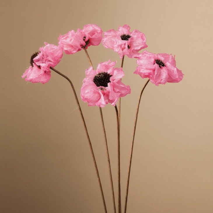 Zen Dried Flower Collection - FINAL SALE