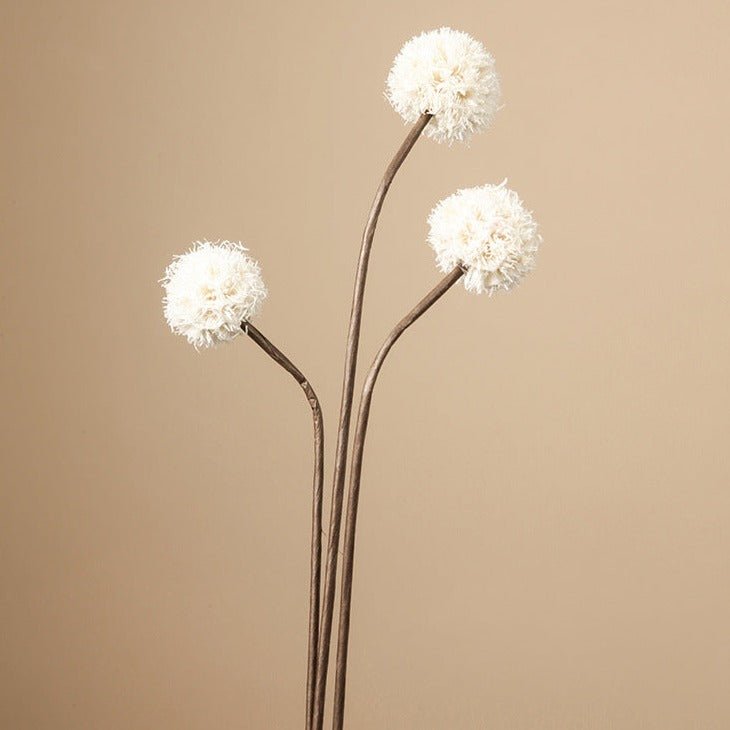 Zen Dried Flower Collection