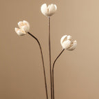 Zen Dried Flower Collection