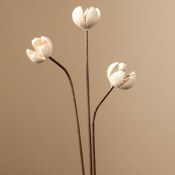 Zen Dried Flower Collection - FINAL SALE